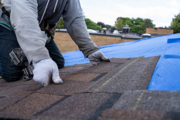 Best Flat Roof Repair Services  in Mulvane, KS