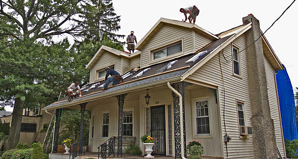Best Roof Maintenance Services  in Mulvane, KS
